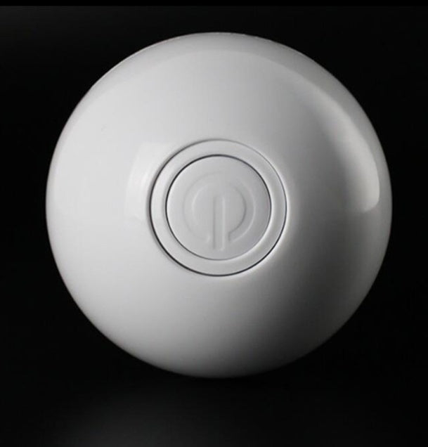 Cat Light Ball