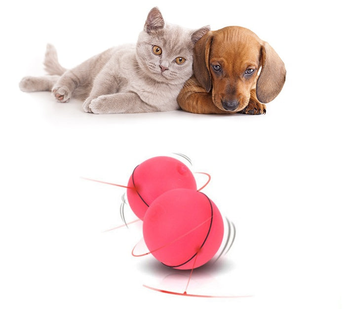 Cat Light Ball