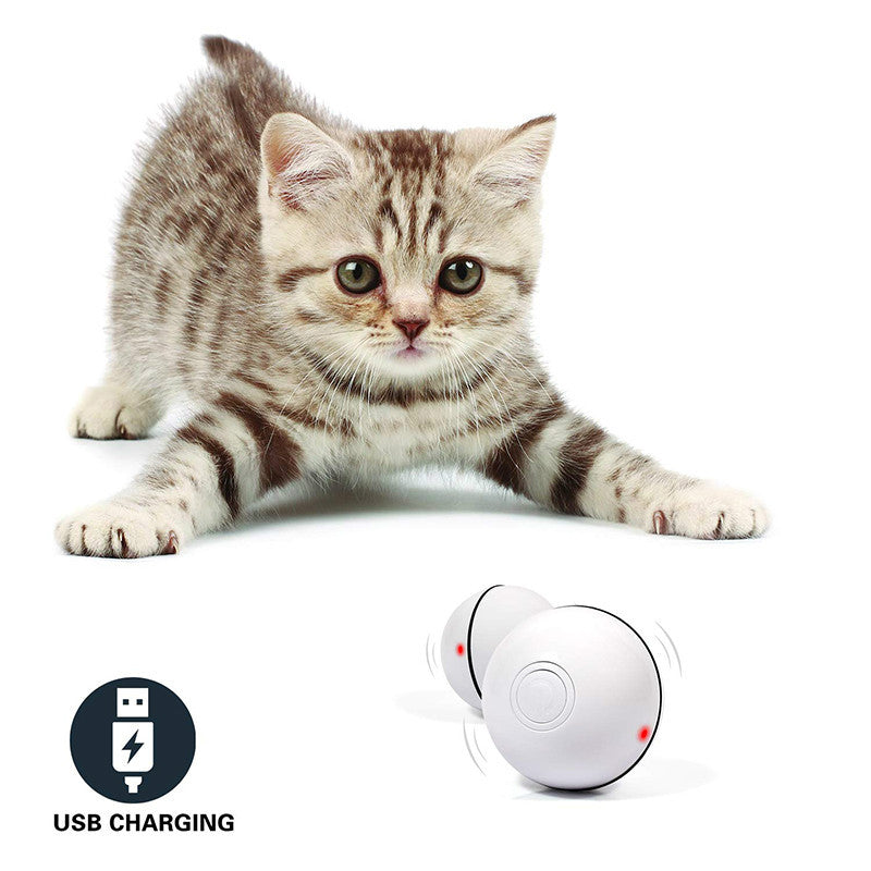 Cat Light Ball