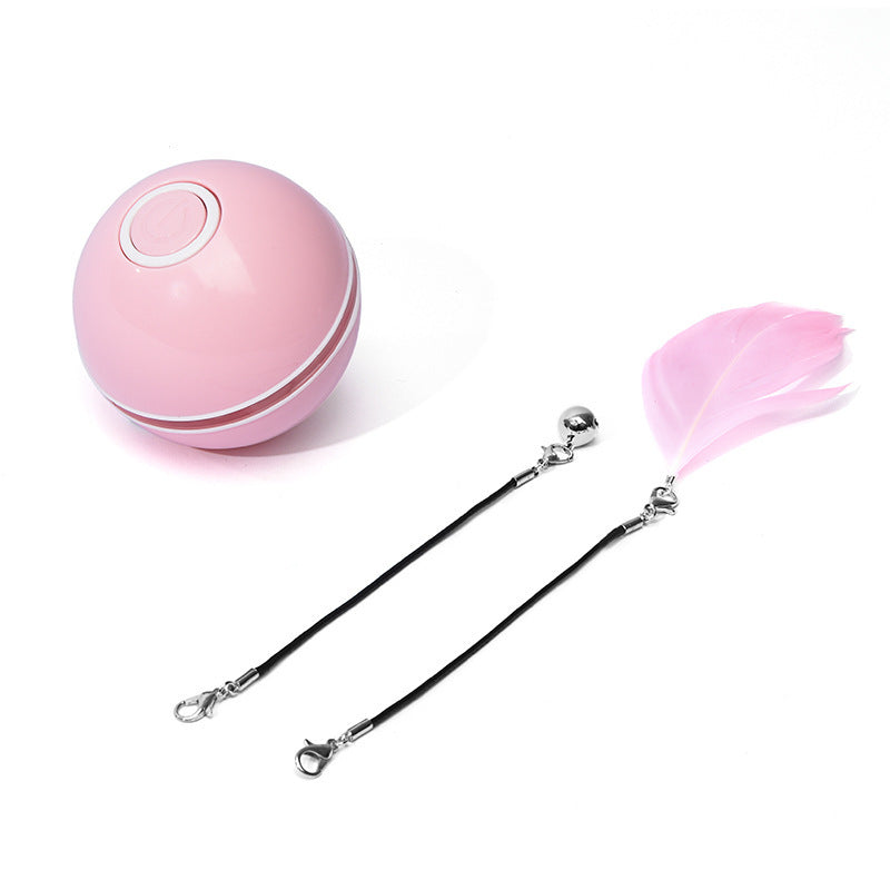 Cat Light Ball