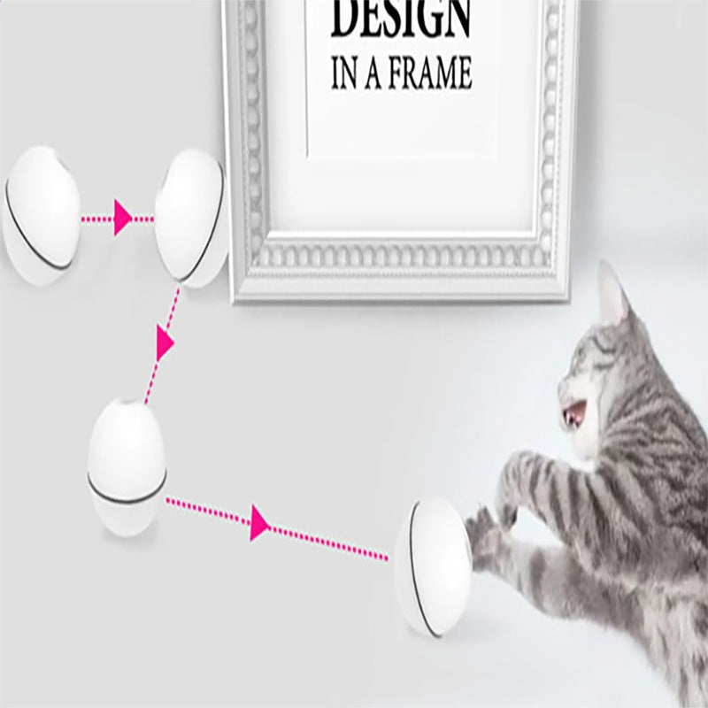 Cat Light Ball
