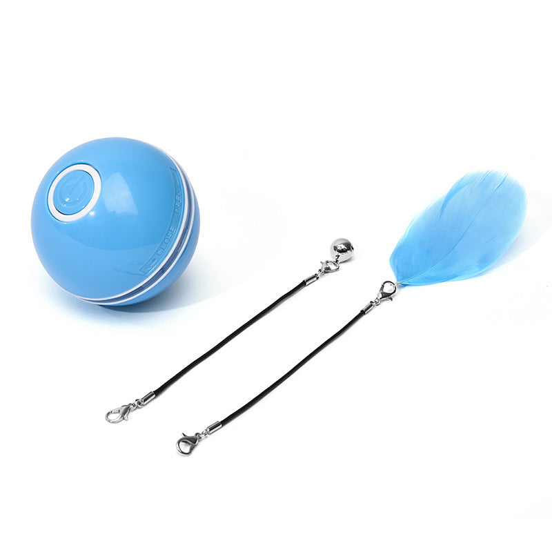 Cat Light Ball