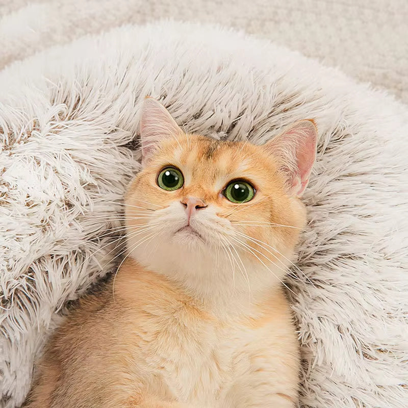 Meow Nest