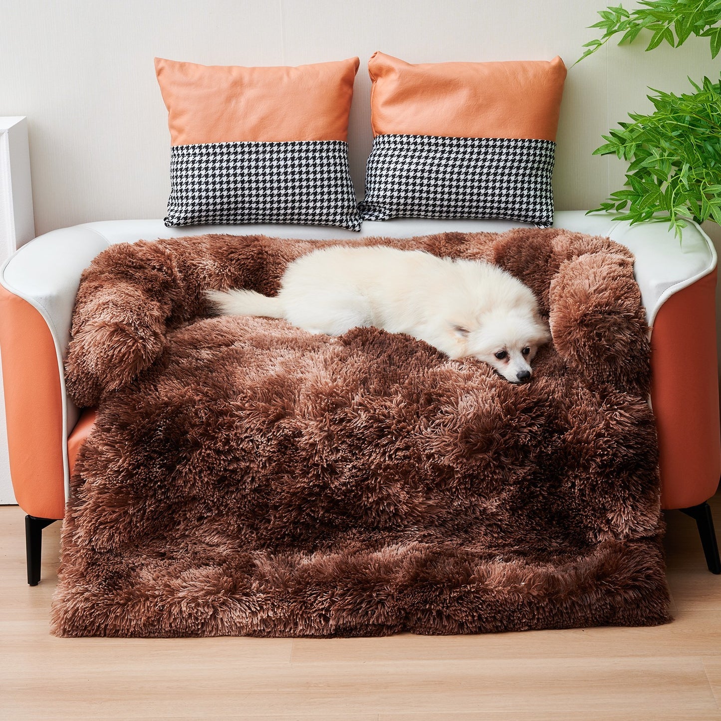 Paw Dream Hundebett