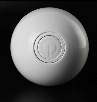 Cat Light Ball