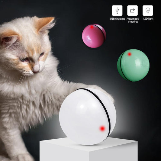 Cat Light Ball